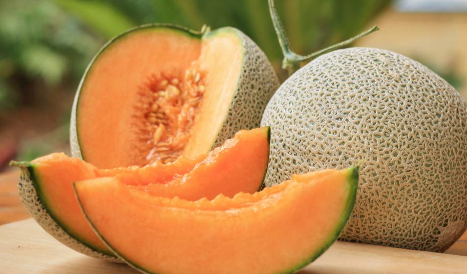Muskmelon  వేసవిలో ఆరోగ్యానికి వరం: కర్బూజ ప్రయోజనాలు