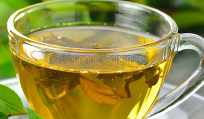 Green Tea:  గ్రీన్ టీ తాగండి – యాంటీఆక్సిడెంట్స్ వల్ల కొవ్వు తగ్గించడంలో సహాయం