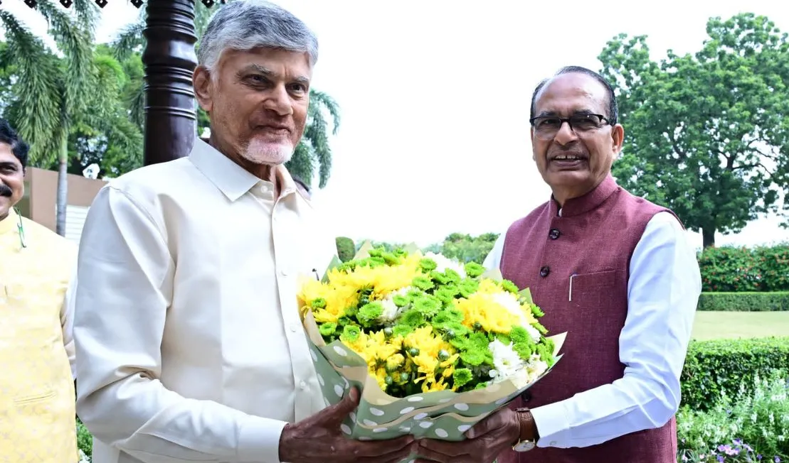 చౌహాన్‌తో చంద్రబాబు భేటీ-ఏపీ అభివృద్ధిపై కీలక చర్చలు
