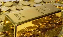 డిజిటల్ గోల్డ్‌పై కేంద్రం కీలక నిర్ణయం