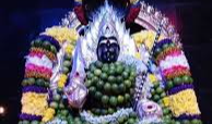 Durga Matha : అమ్మవారికి నిమ్మకాయల మాల ఎందుకు వేస్తారు?