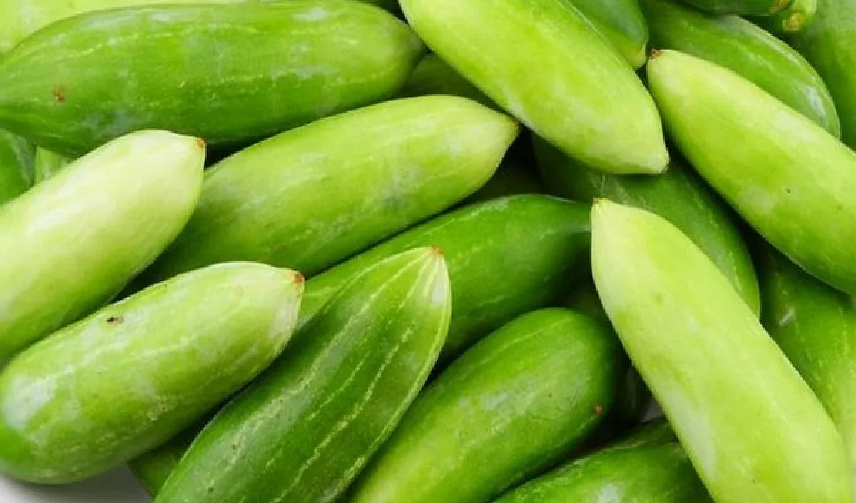దొండకాయ తింటే కలిగే ఆరోగ్య ప్రయోజనాలు