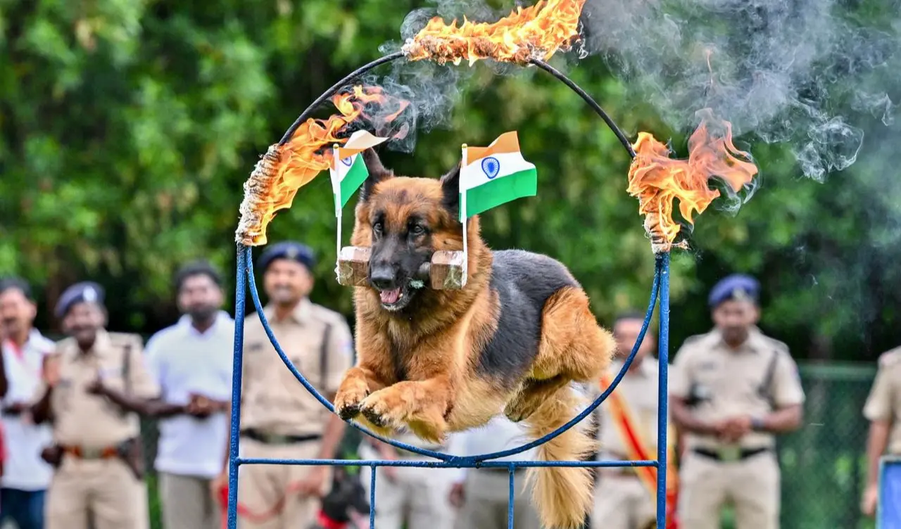 విశాఖలో ఆర్‌పీఎఫ్ శునకం అగ్ని వలయంలో విన్యాసం