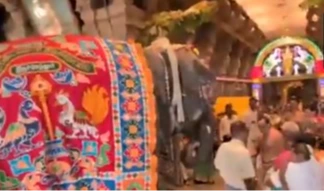 తిరుచెందూర్‌లో అవని ఉత్సవం ప్రారంభం
