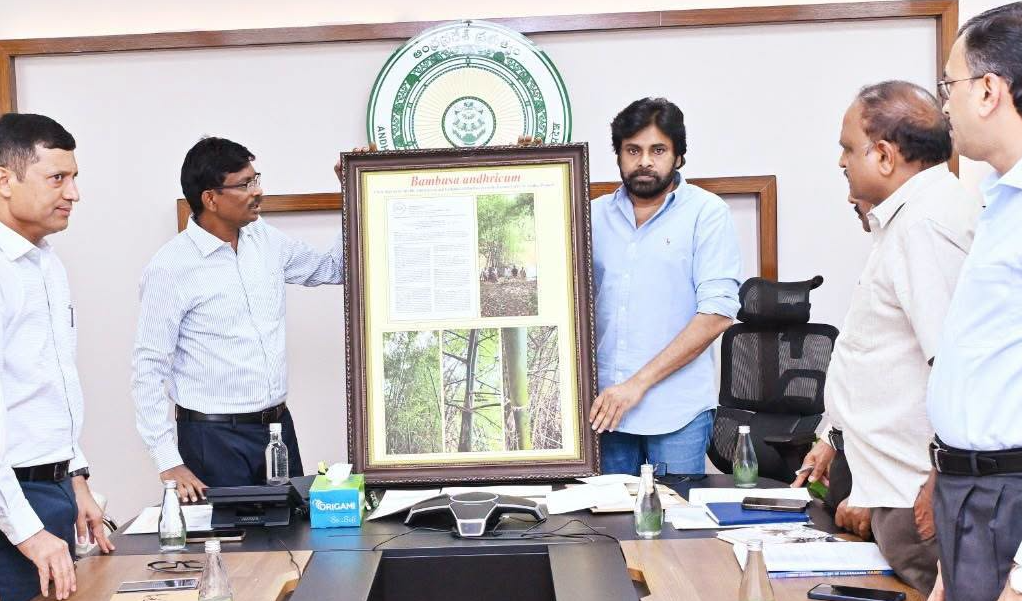 గ్రీనింగ్ సొసైటీపై పవన్ కళ్యాణ్ కీలక ఆదేశాలు