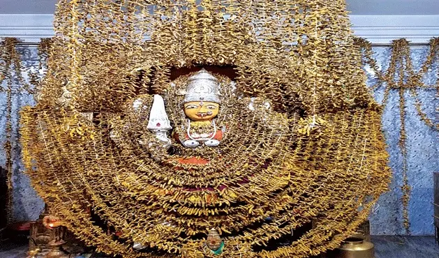 పసుపు కొమ్ములతో 41 రోజుల అమ్మవారి పూజ