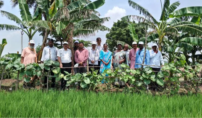 గుజరాత్ బృందం ప్రశంసించిన ఏపీ సహజ వ్యవసాయ విధానం